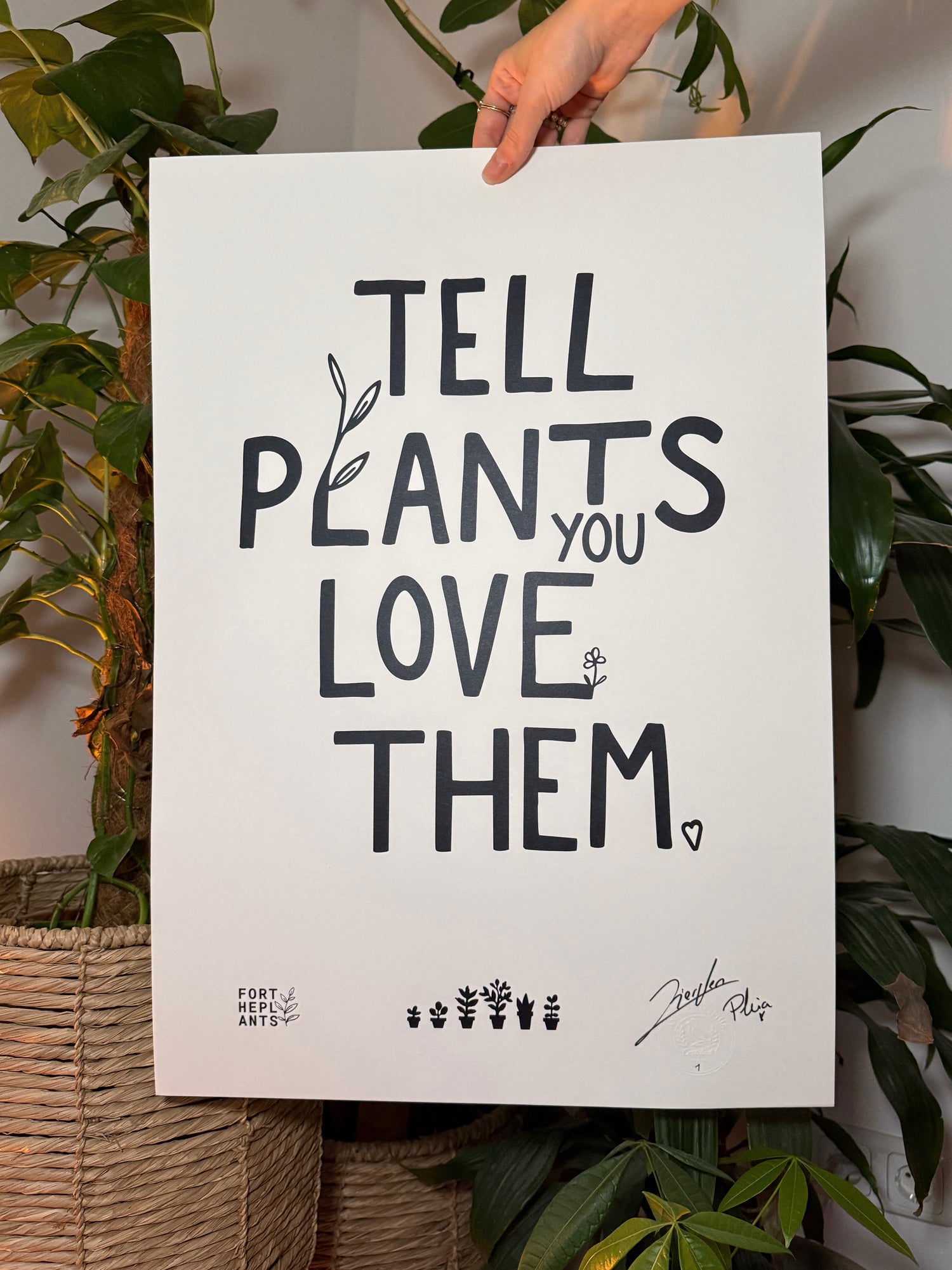 PLANTS - limitiertes Plakat